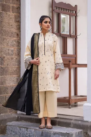 3PC Stitched | Emboridered Lawn Suit