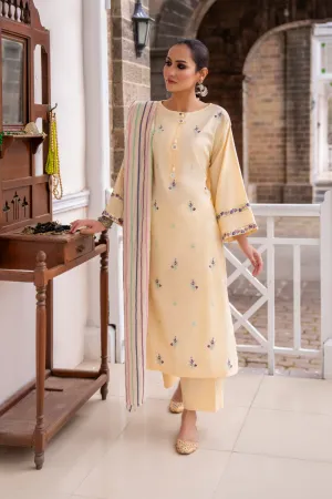 3PC Stitched | Emboridered Lawn Suit