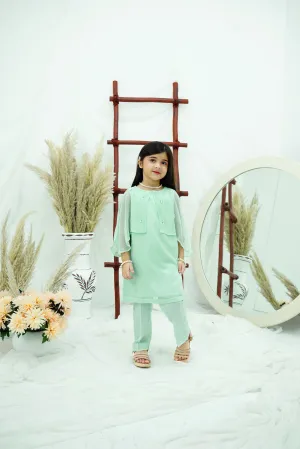 Aqua Blue Embroidered Chiffon
