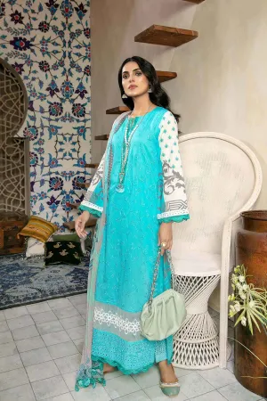 Bin Rashid Lawn Chikankari Pakistani Women Suits Collection