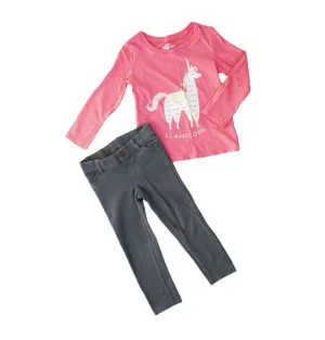 GIRL SIZE 2 YEARS - CARTER'S / OSHKOSH, 2 Piece Mix N Match Outfit EUC B15