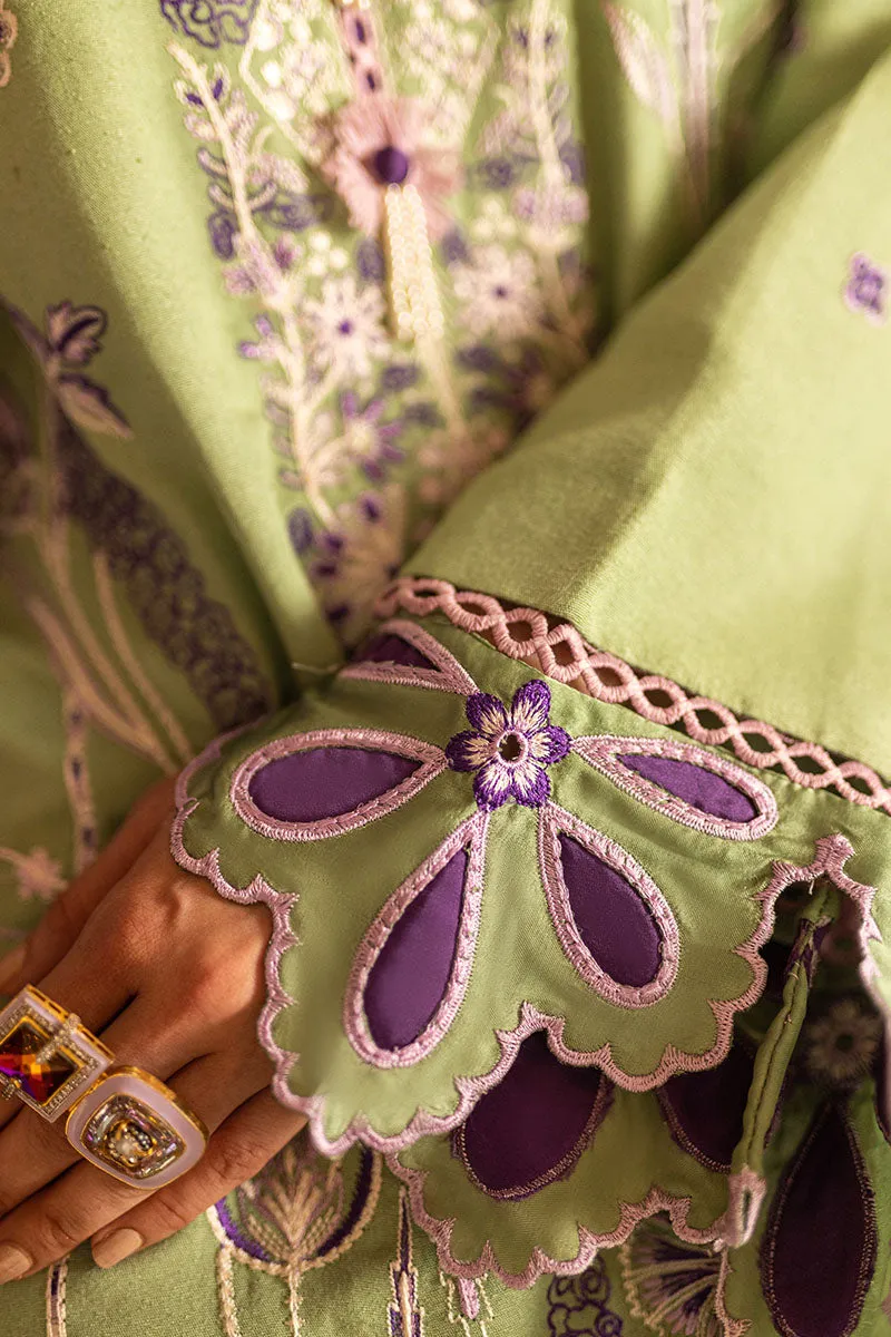 MUSHQ | Symphony  Karandi Collection '24 |  Sparkling Noir