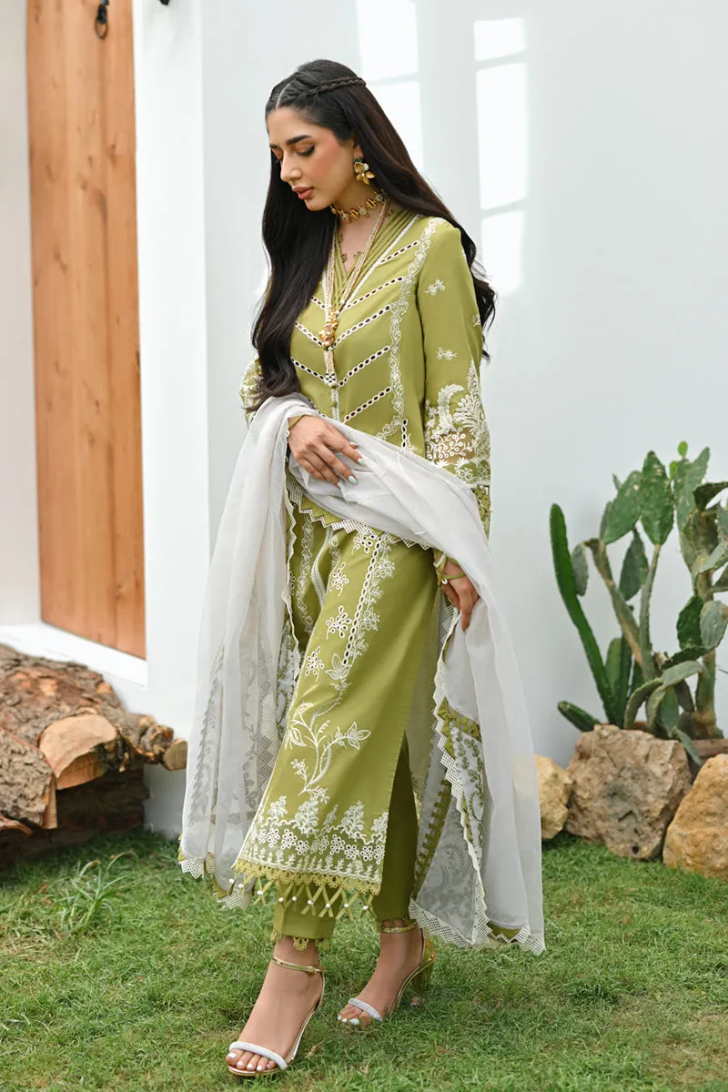 Qalamkar | CASUAL PRET II - 🌿 | ZP-06 DINA