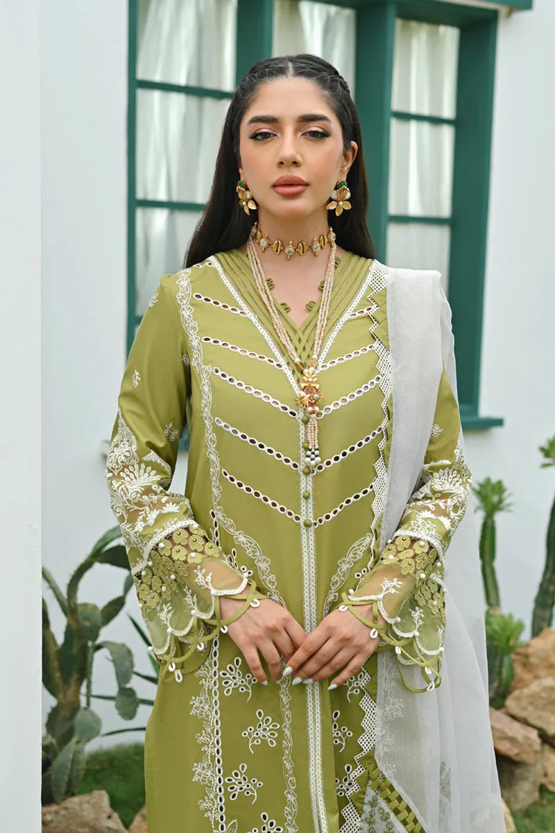 Qalamkar | CASUAL PRET II - 🌿 | ZP-06 DINA