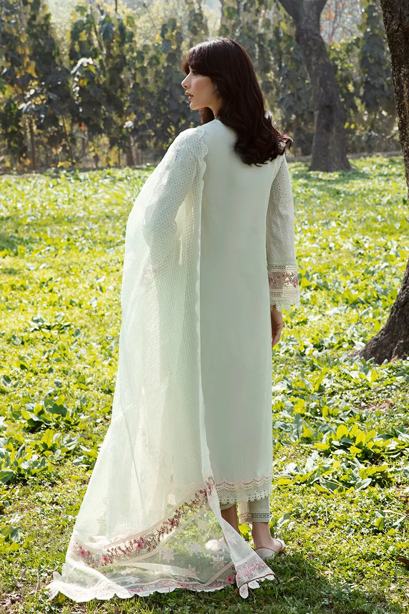 QALAMKAR | Q LINE LAWN'23 | AK-05 EMHAL
