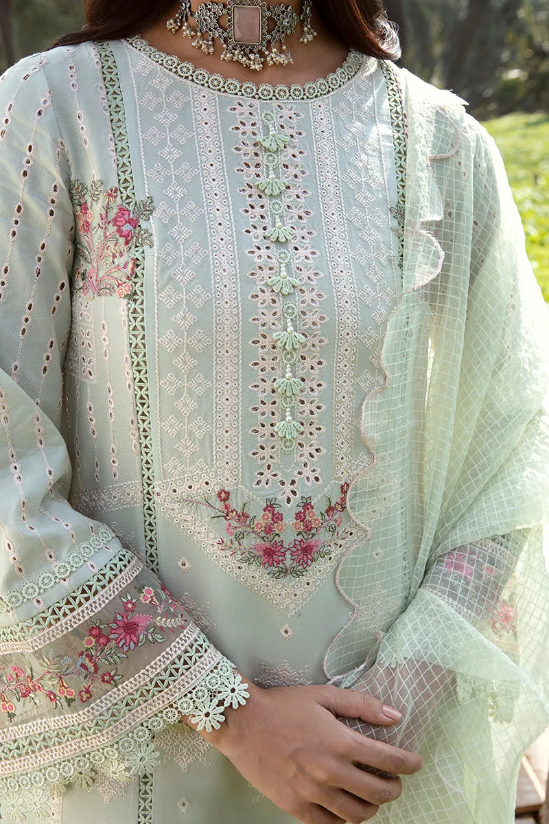 QALAMKAR | Q LINE LAWN'23 | AK-05 EMHAL
