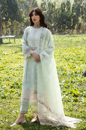 QALAMKAR | Q LINE LAWN'23 | AK-05 EMHAL