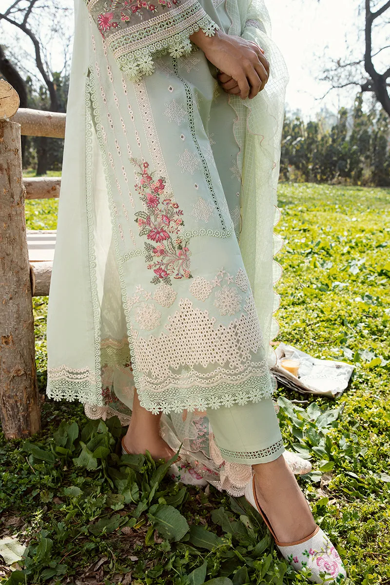 QALAMKAR | Q LINE LAWN'23 | AK-05 EMHAL