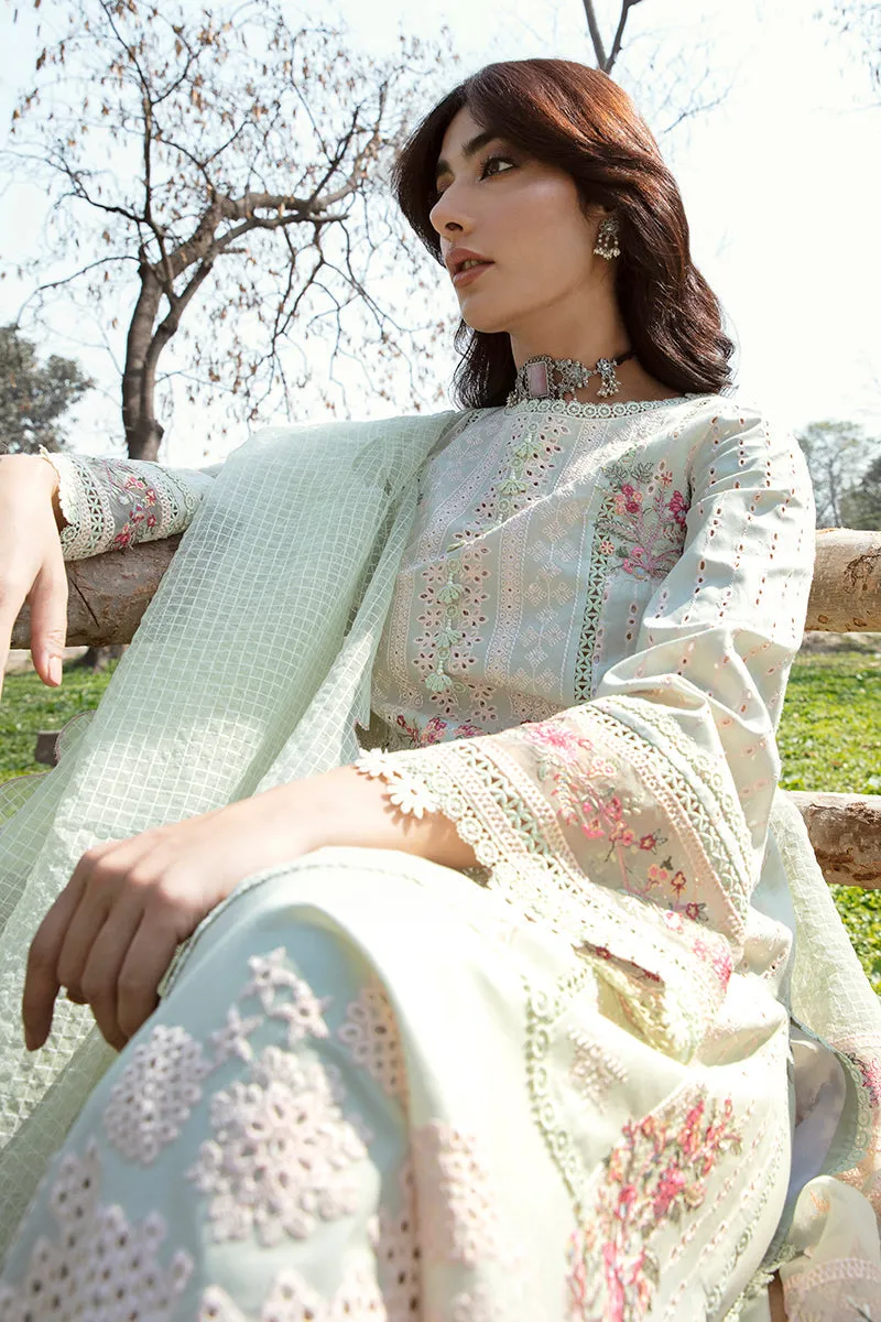 QALAMKAR | Q LINE LAWN'23 | AK-05 EMHAL