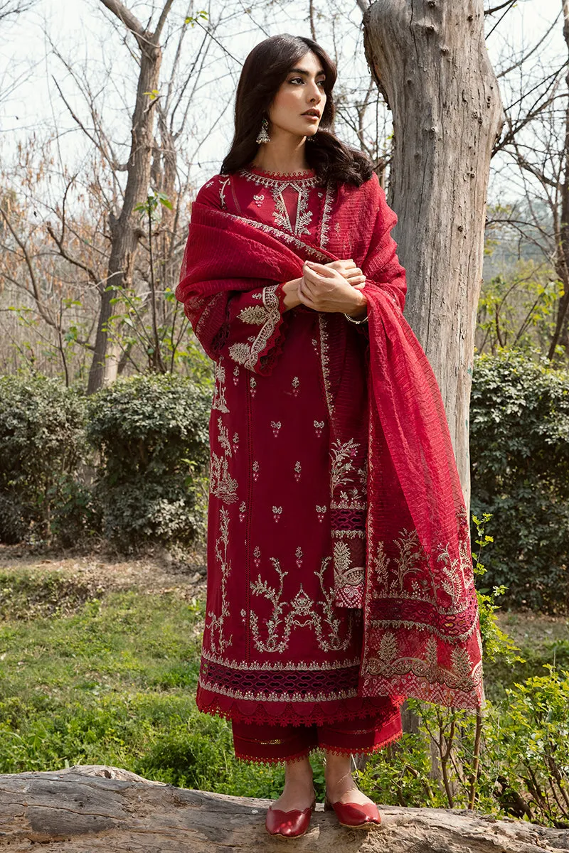 QALAMKAR | Q LINE LAWN'23 | AK-10 KIERA