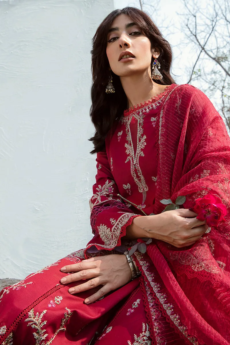 QALAMKAR | Q LINE LAWN'23 | AK-10 KIERA