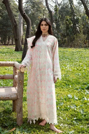 QALAMKAR | Q LINE LAWN'23 | AK-14 FERN