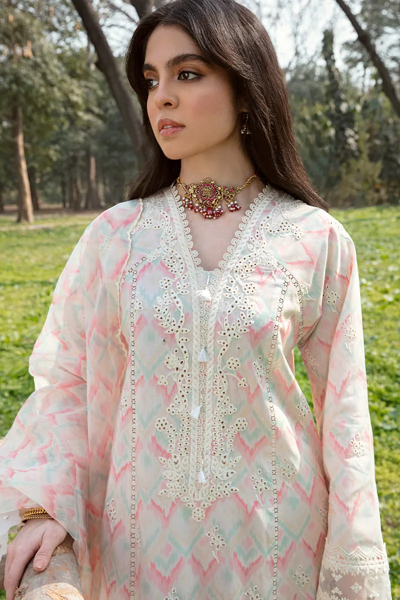 QALAMKAR | Q LINE LAWN'23 | AK-14 FERN