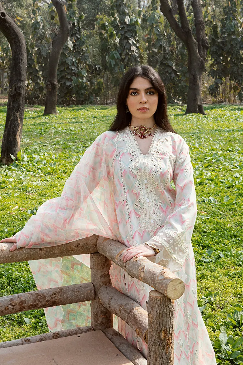 QALAMKAR | Q LINE LAWN'23 | AK-14 FERN