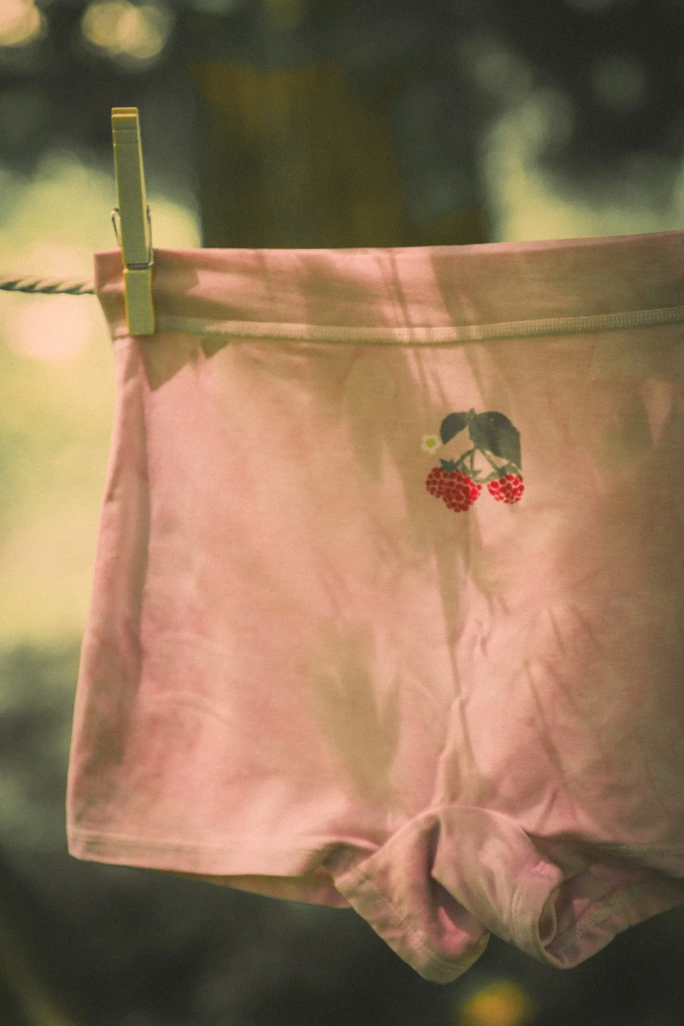 Raspberry Boyshorts
