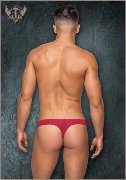 Sleek Sheer Thong - Wine -