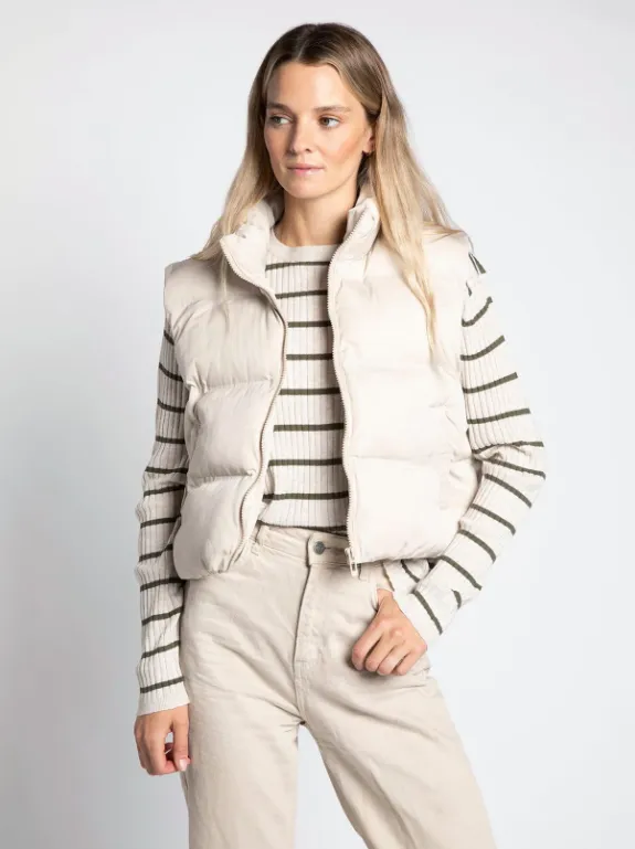 The Icy Vest