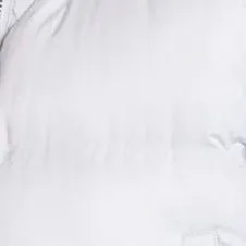 The Icy Vest