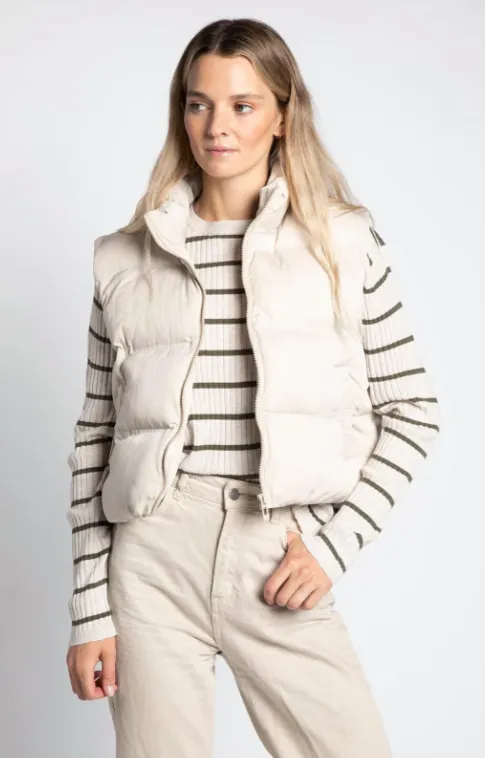 The Icy Vest